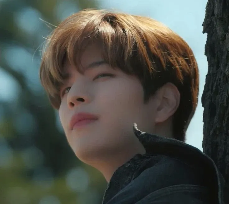 Momen yang diabadikan oleh penggemar Seungmin (Stray Kids)