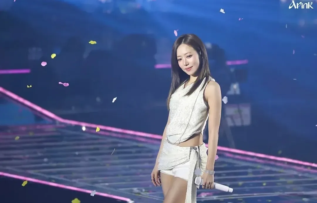 Momen yang diabadikan oleh penggemar Apink