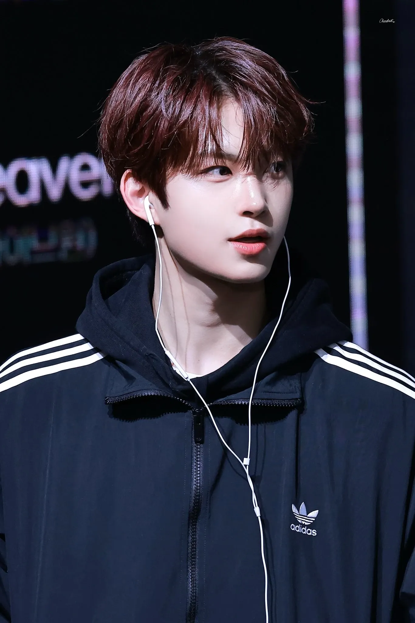 Momen yang diabadikan oleh penggemar Kim Geonwoo (ALPHA DRIVE ONE)