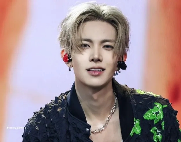 羲承的最新照片