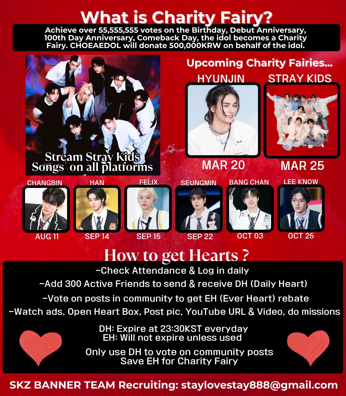 Stray Kids 팬이 찍은 순간