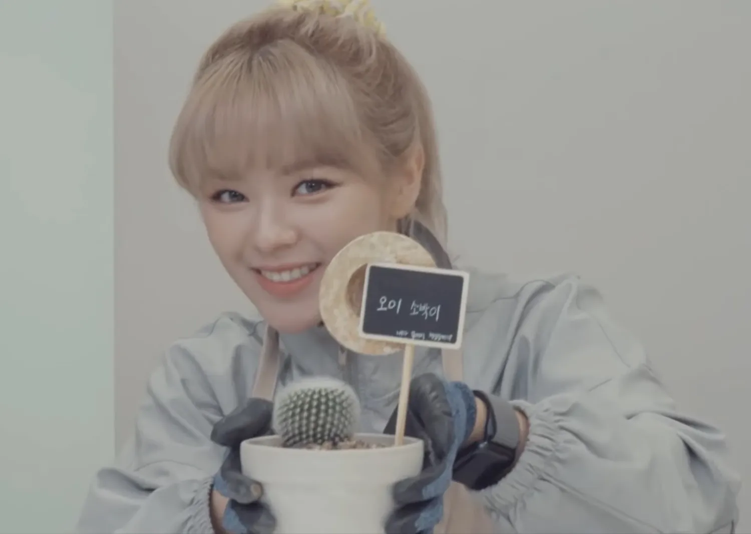 정연 (TWICE) 팬이 찍은 순간