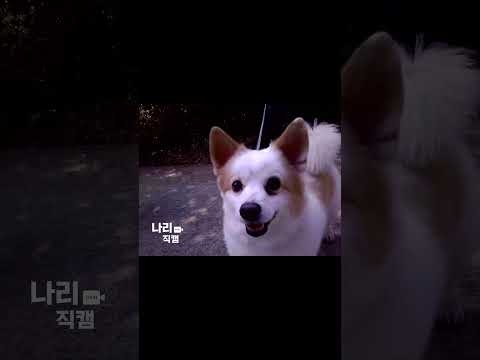 Behind-the-scenes cut of Hyeongjun (CRAVITY)