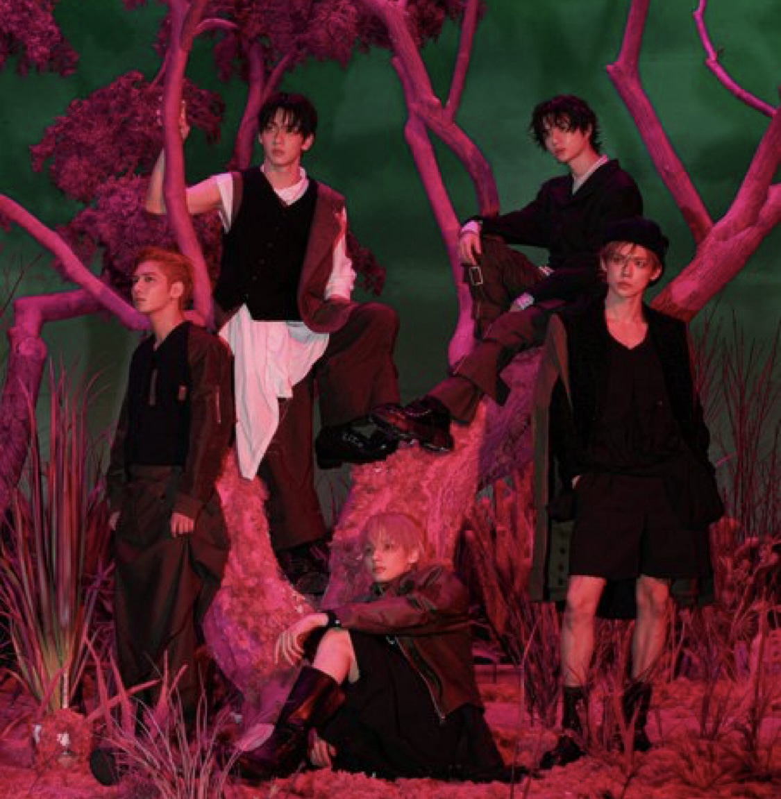 Recent activity shot of TOMORROW X TOGETHER