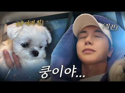 A moment captured by Leeteuk (Super Junior)'s fan