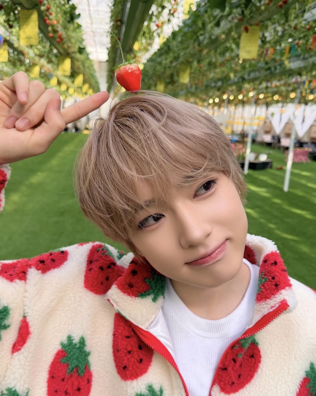 Recent activity shot of Sakuya (NCT WISH)