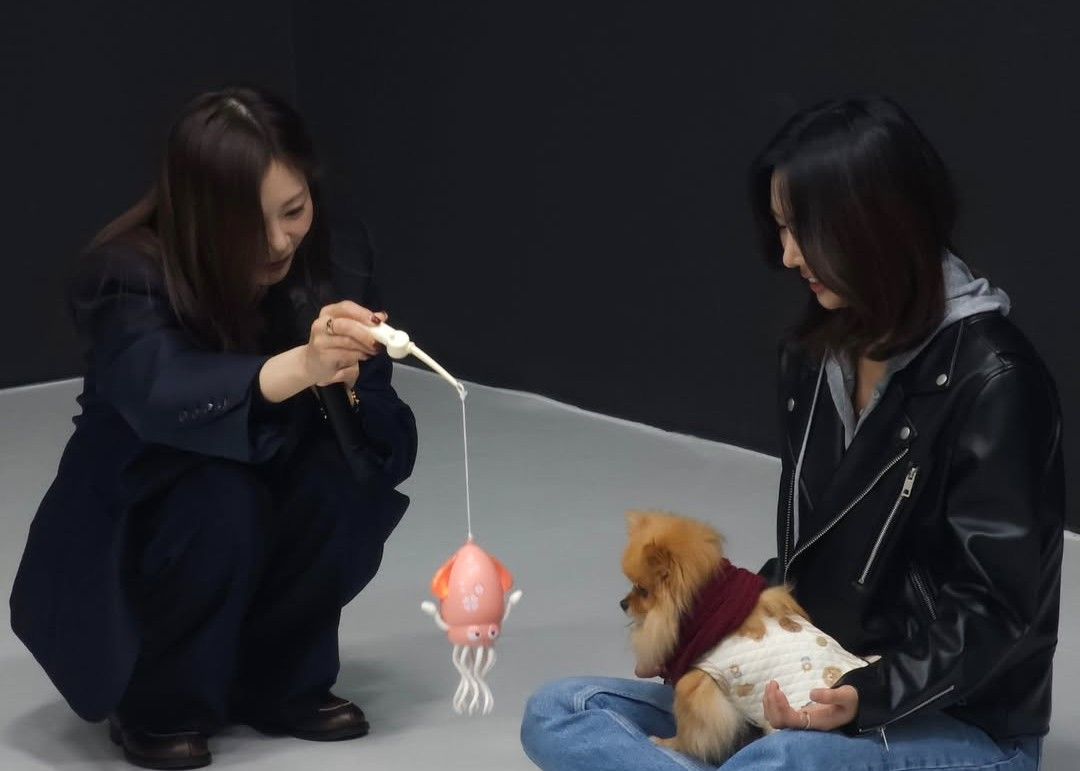 A moment captured by DREAMCATCHER's fan