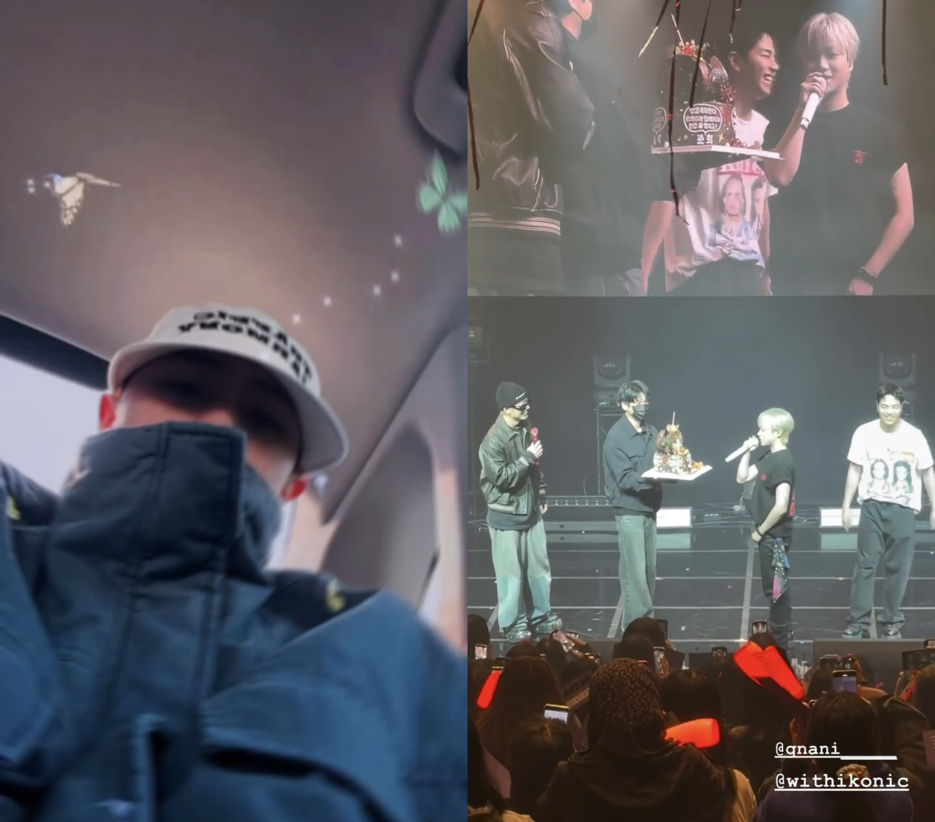 iKON 팬이 찍은 순간