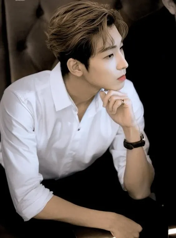 A moment captured by Wonwoo (SEVENTEEN)'s fan