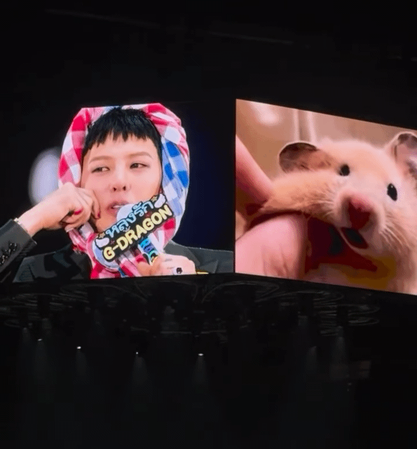 G-DRAGON (빅뱅)의 비하인드 컷