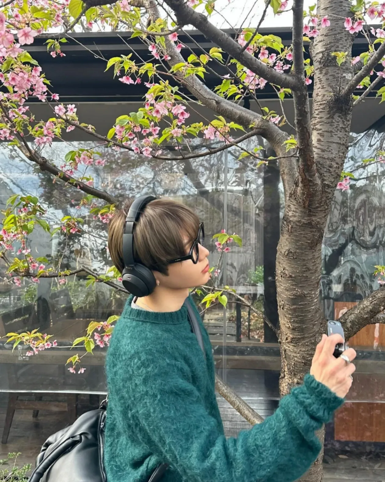 쇼타로 (라이즈)의 최신 사진