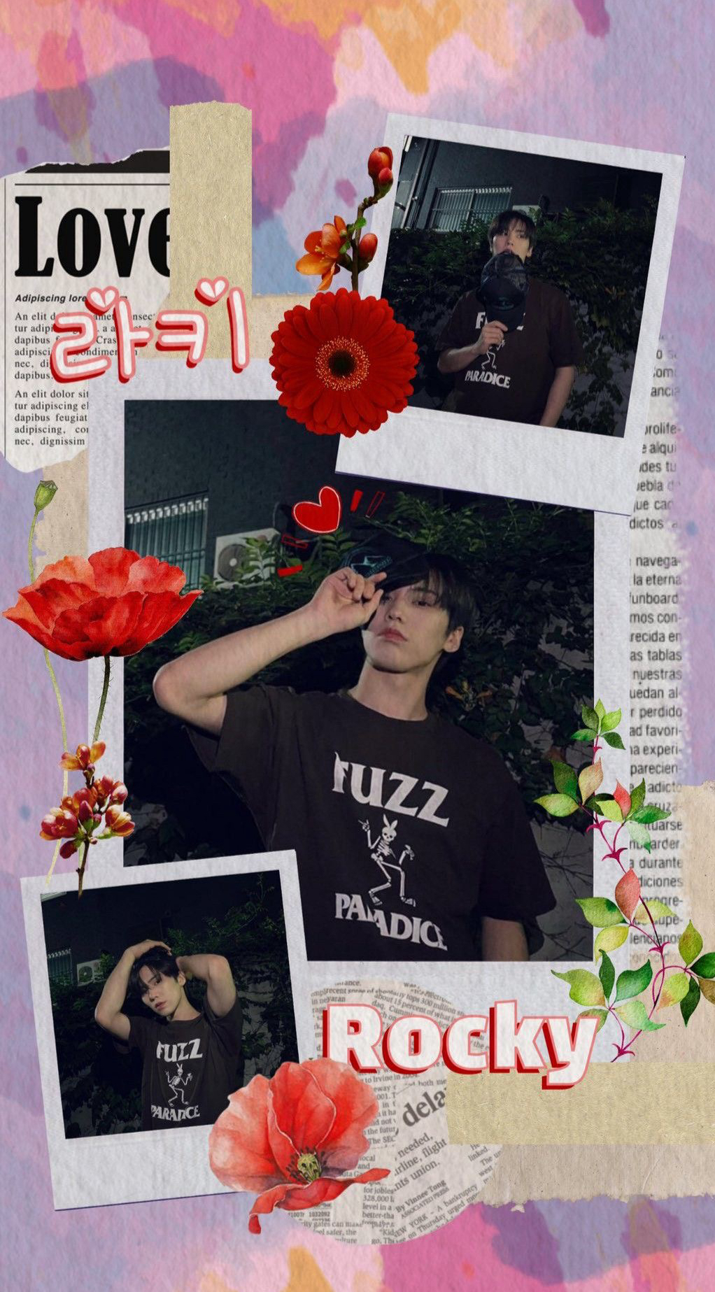 Recent activity shot of Rocky