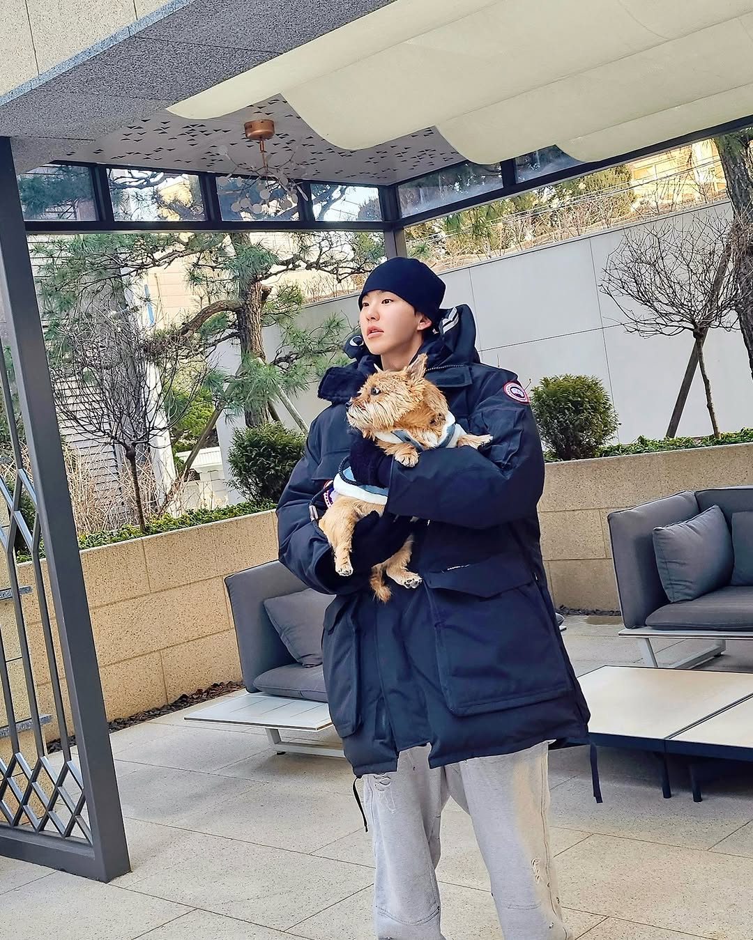 Latest photo of Hoshi (SEVENTEEN)