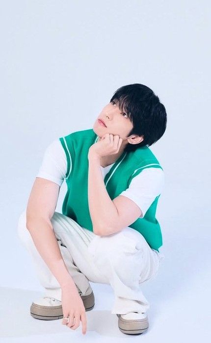 Recent activity shot of Wonwoo (SEVENTEEN)