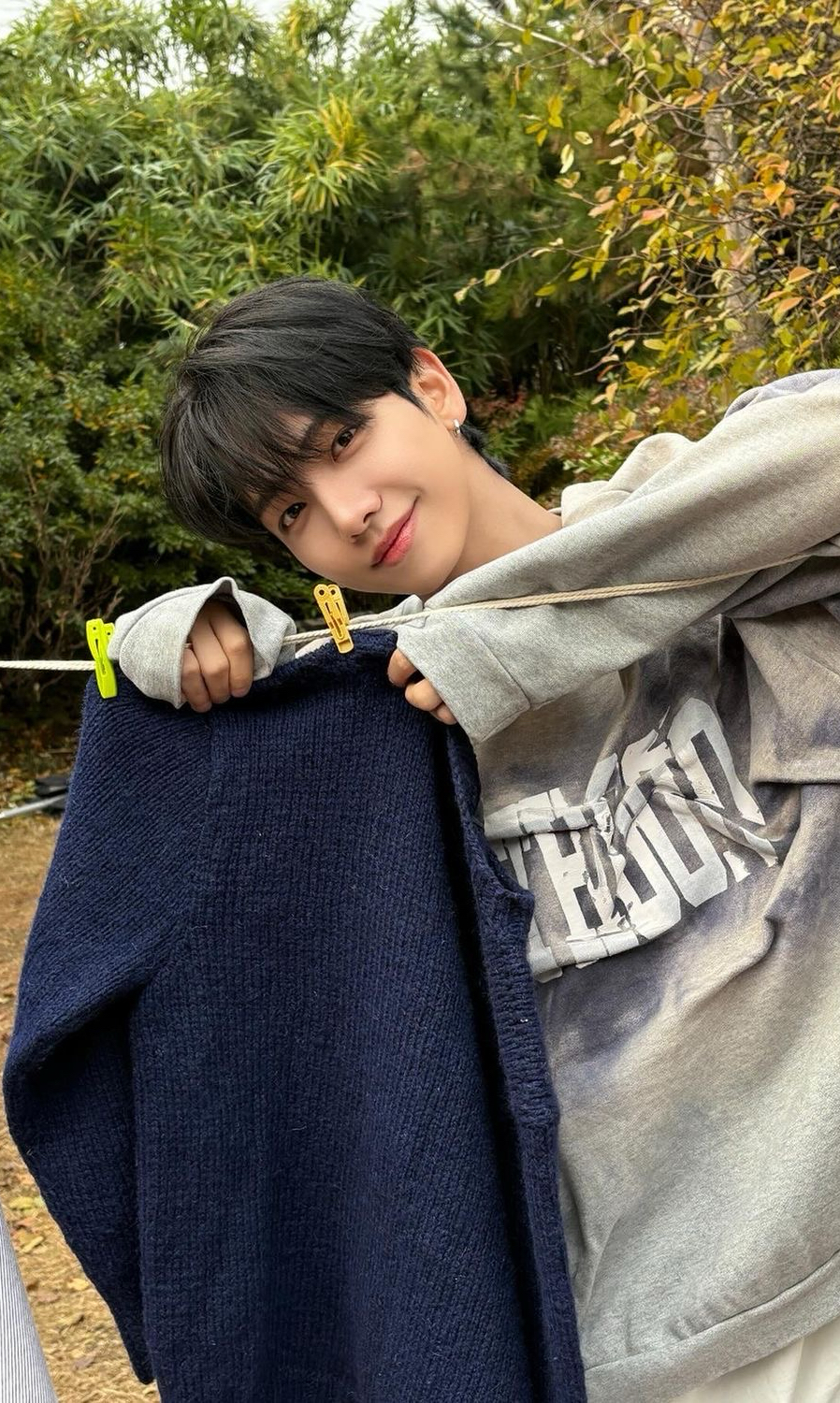 The most beloved wallpaper among Board's fans