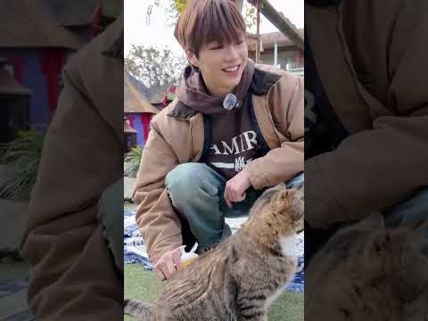 Momen yang diabadikan oleh penggemar Kang Daniel