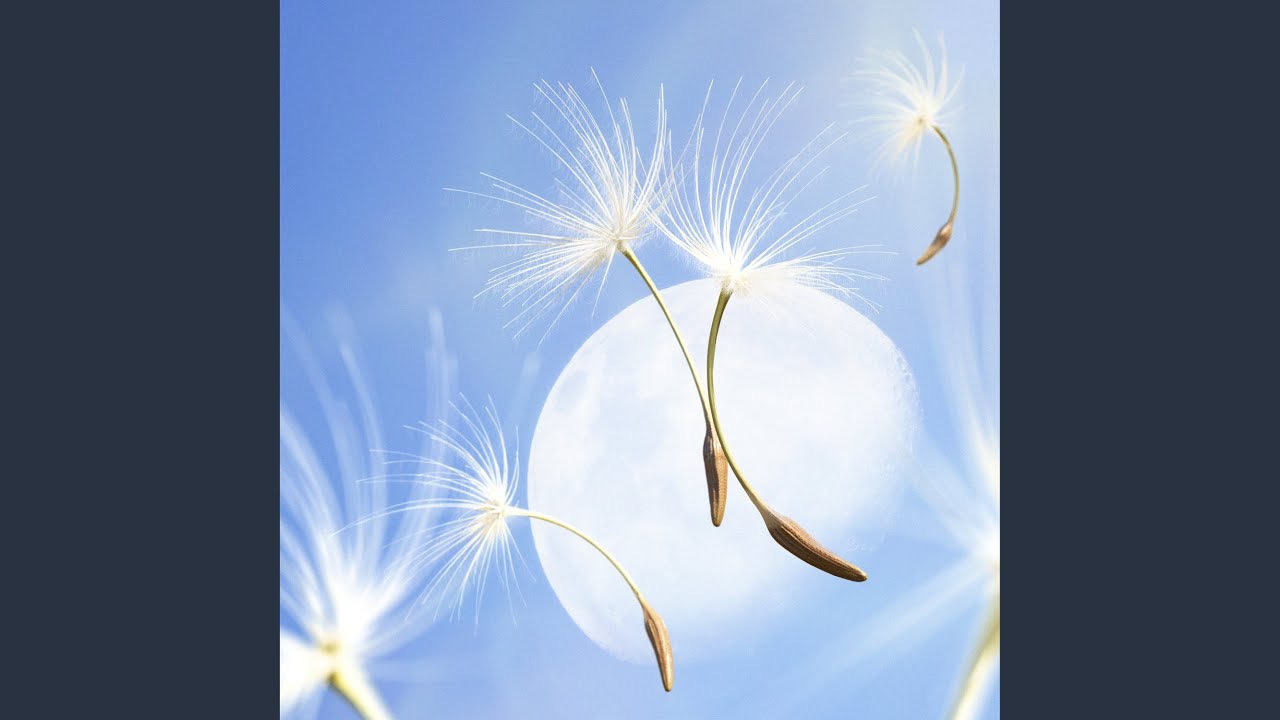 Behind-the-scenes cut of Moonbin (ASTRO)