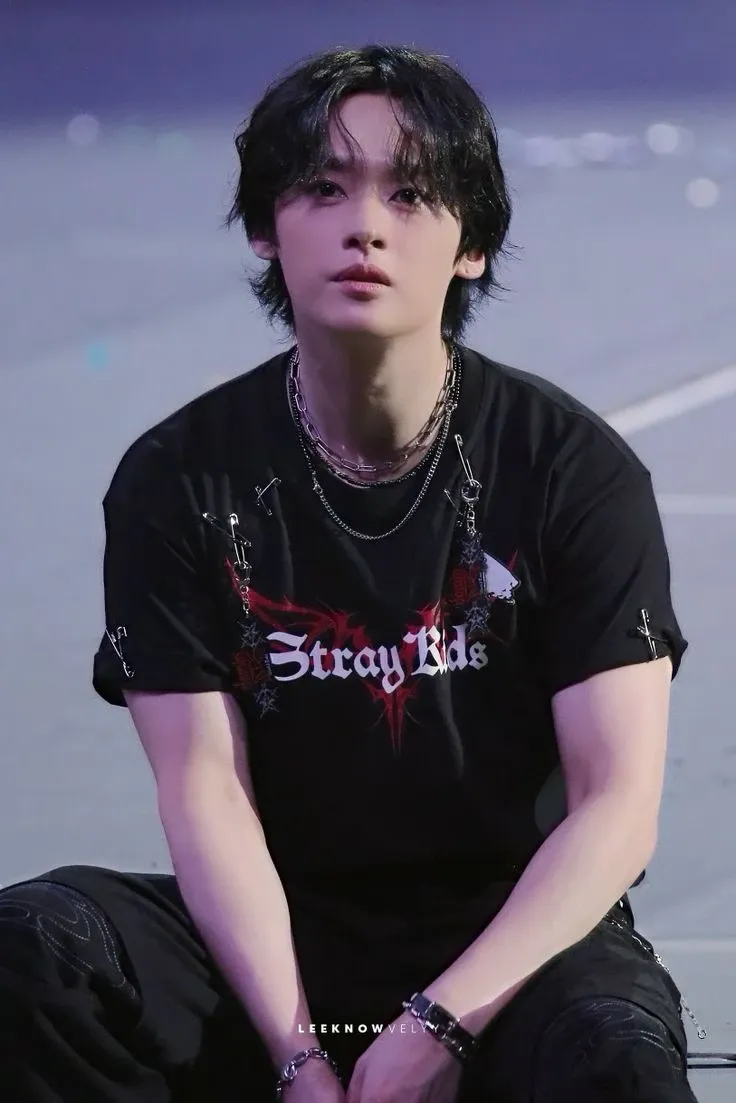 Lee Know (Stray Kids)粉絲拍下的瞬間