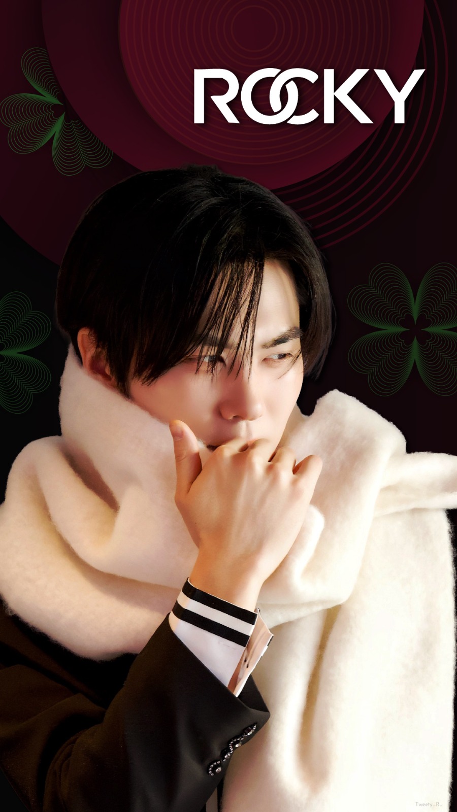 Latest photo of Rocky