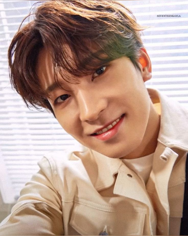 A moment captured by Wonwoo (SEVENTEEN)'s fan