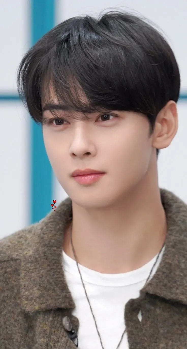 ファンおすすめのチャ･ウヌ (ASTRO)壁紙イメージ