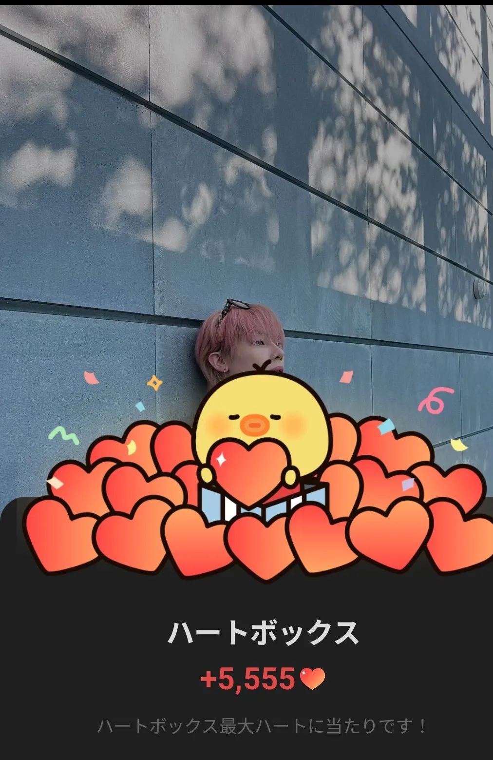 니콜라스 (앤팀)의 최신 사진