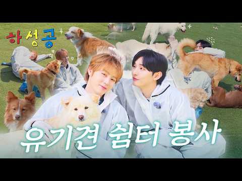 A moment captured by Ha Sungwoon's fan