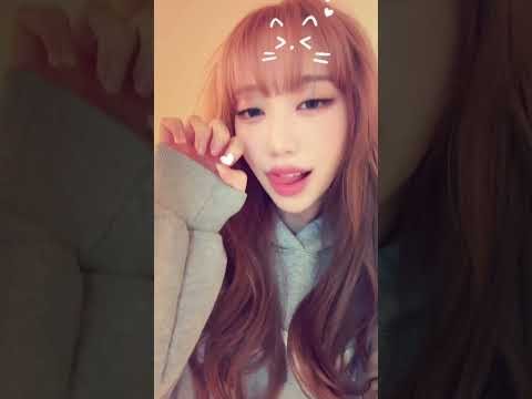 SECRET NUMBER 팬이 찍은 순간