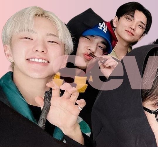 세븐틴 팬이 찍은 순간