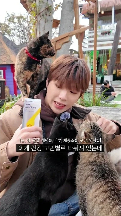 최애 팬덤이 추천하는 강다니엘 배경 이미지