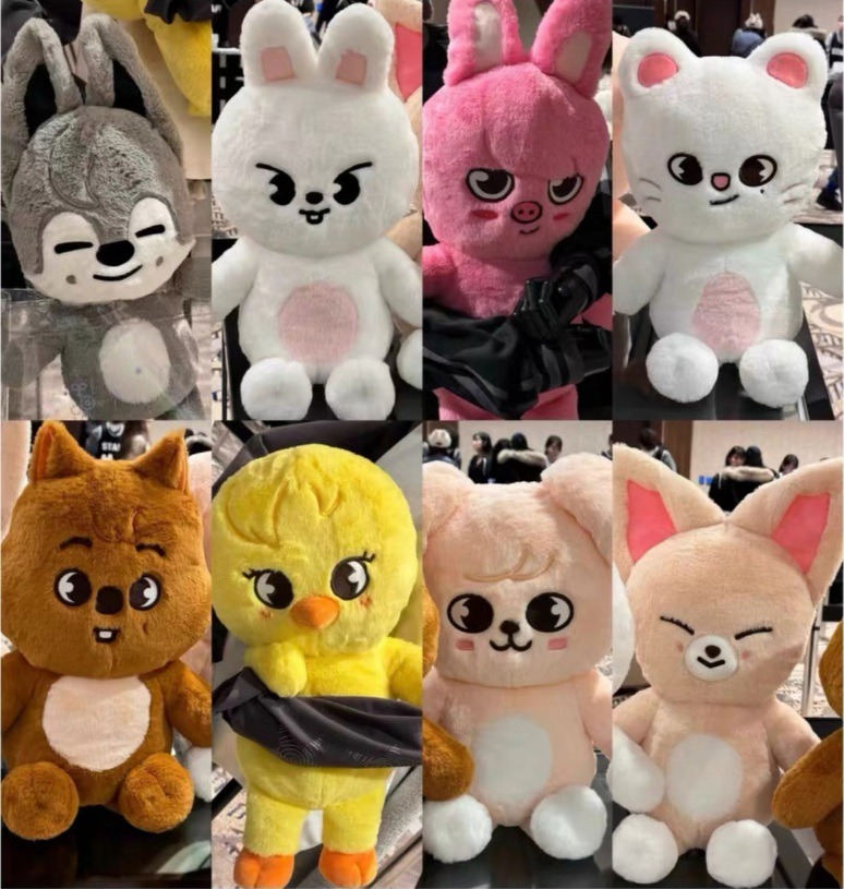 Recent activity shot of Stray Kids