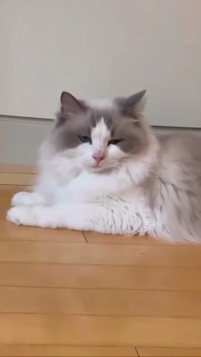 Fandom-recommended wallpaper image of Kang Daniel