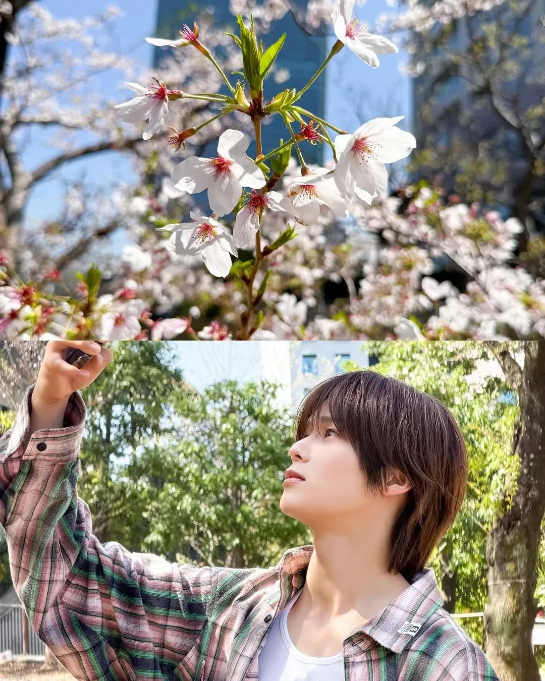 A moment captured by K (&TEAM)'s fan