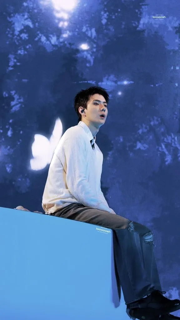Fan-made special wallpaper for Sehun (EXO)