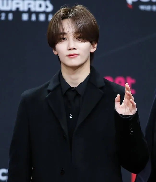 세븐틴 팬이 찍은 순간