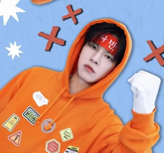 A moment captured by Seungmin (Stray Kids)'s fan
