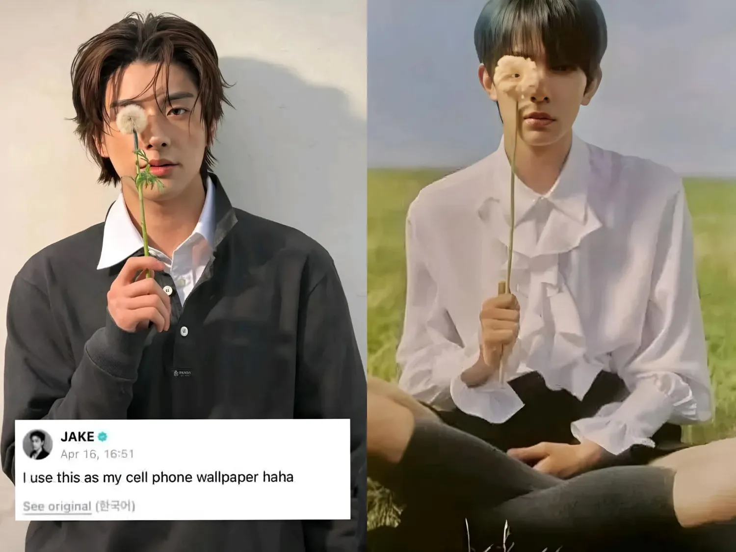 ENHYPEN 최근 활동샷