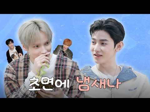 투모로우바이투게더 최근 활동샷