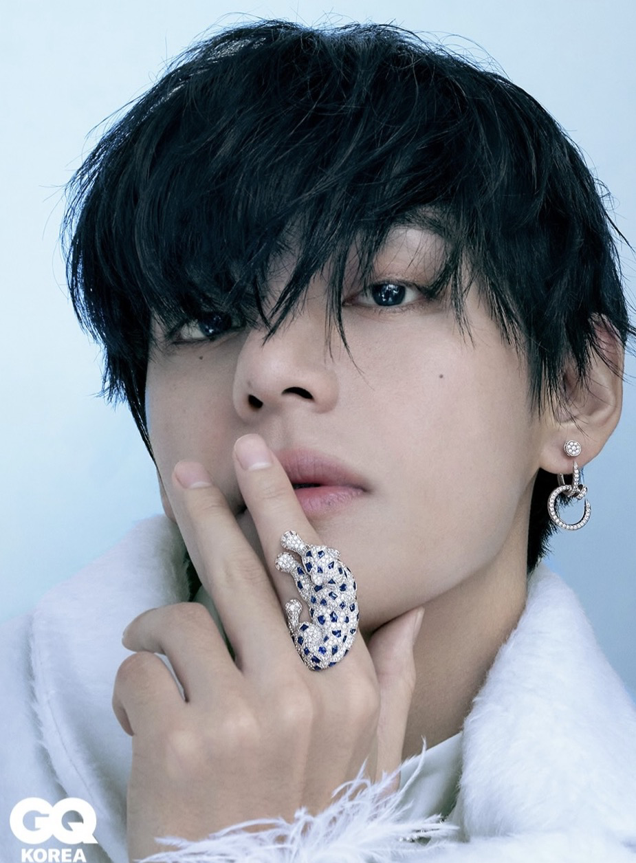 V (BTS)ファンが撮った瞬間