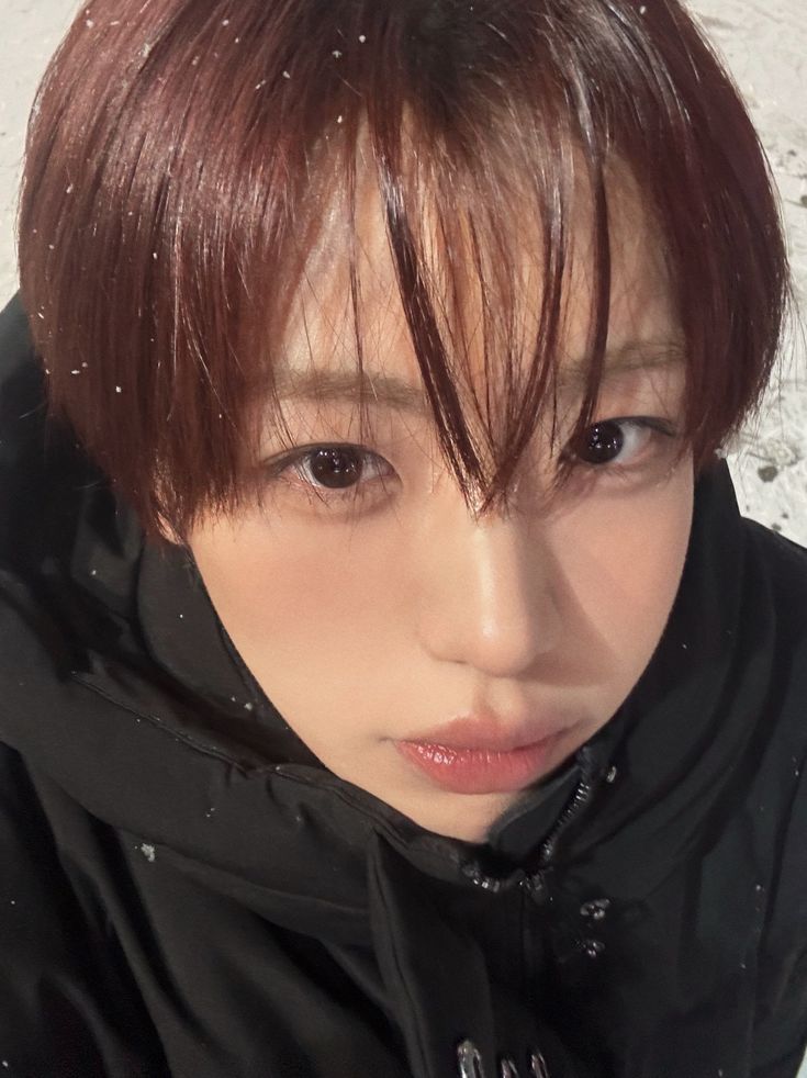 车雄基 (AHOF)的最新照片