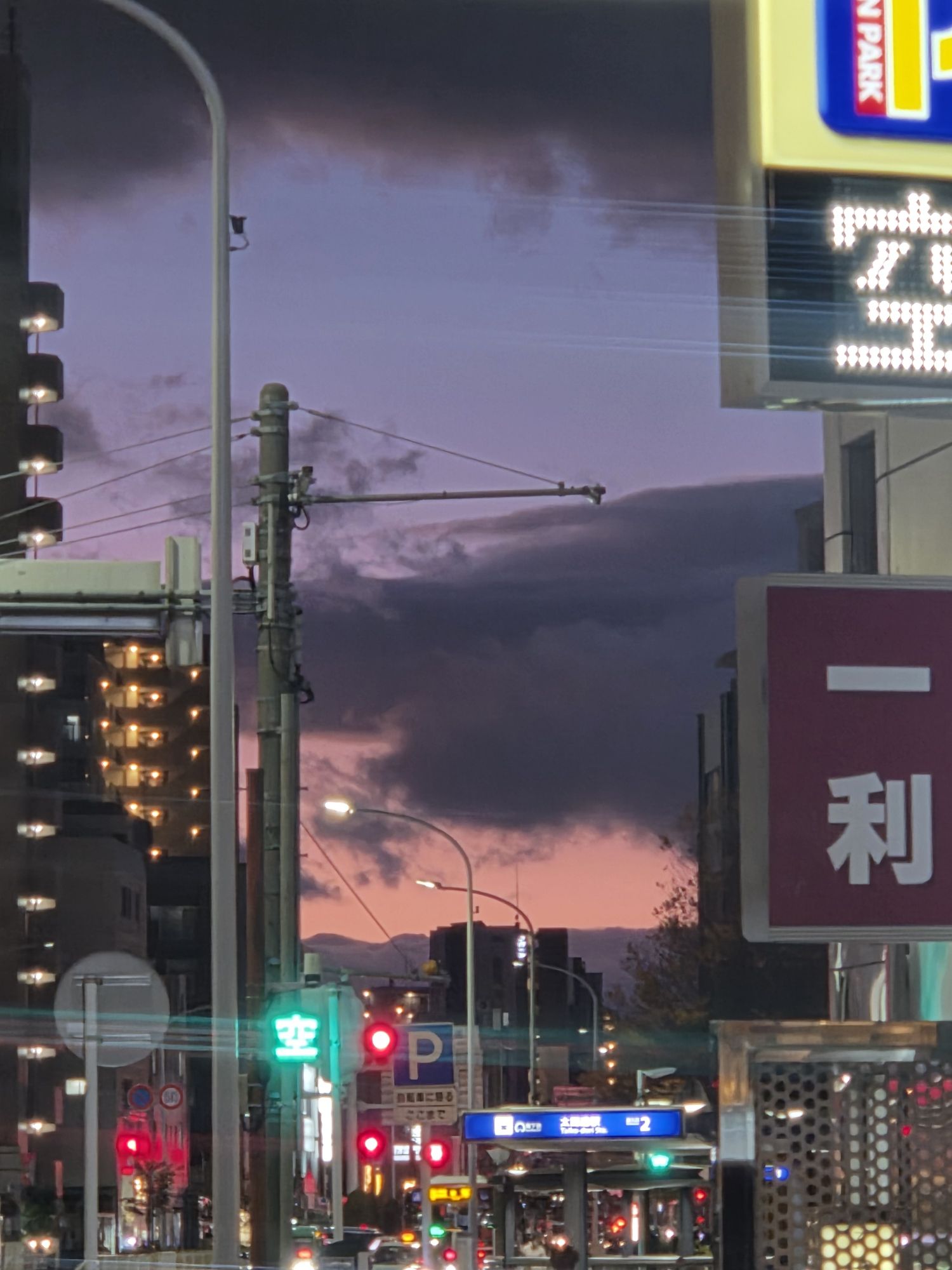 세븐틴 팬이 찍은 순간