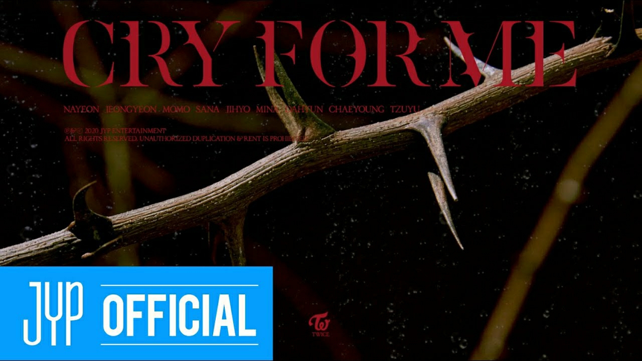 TWICE 팬이 찍은 순간