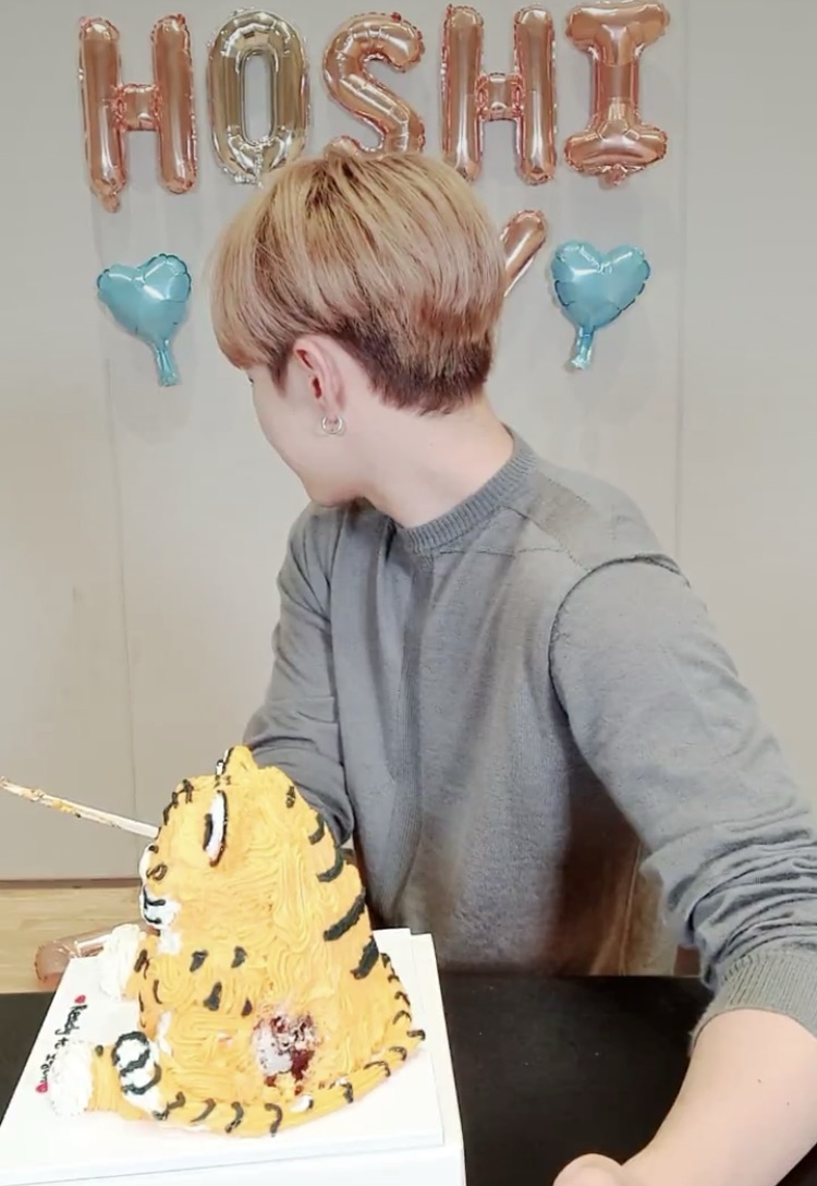 Potret di balik layar Hoshi (SEVENTEEN)