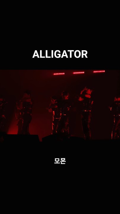 Momen yang diabadikan oleh penggemar Minhyuk (MONSTA X)