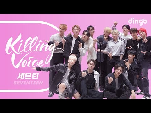 세븐틴 팬이 찍은 순간