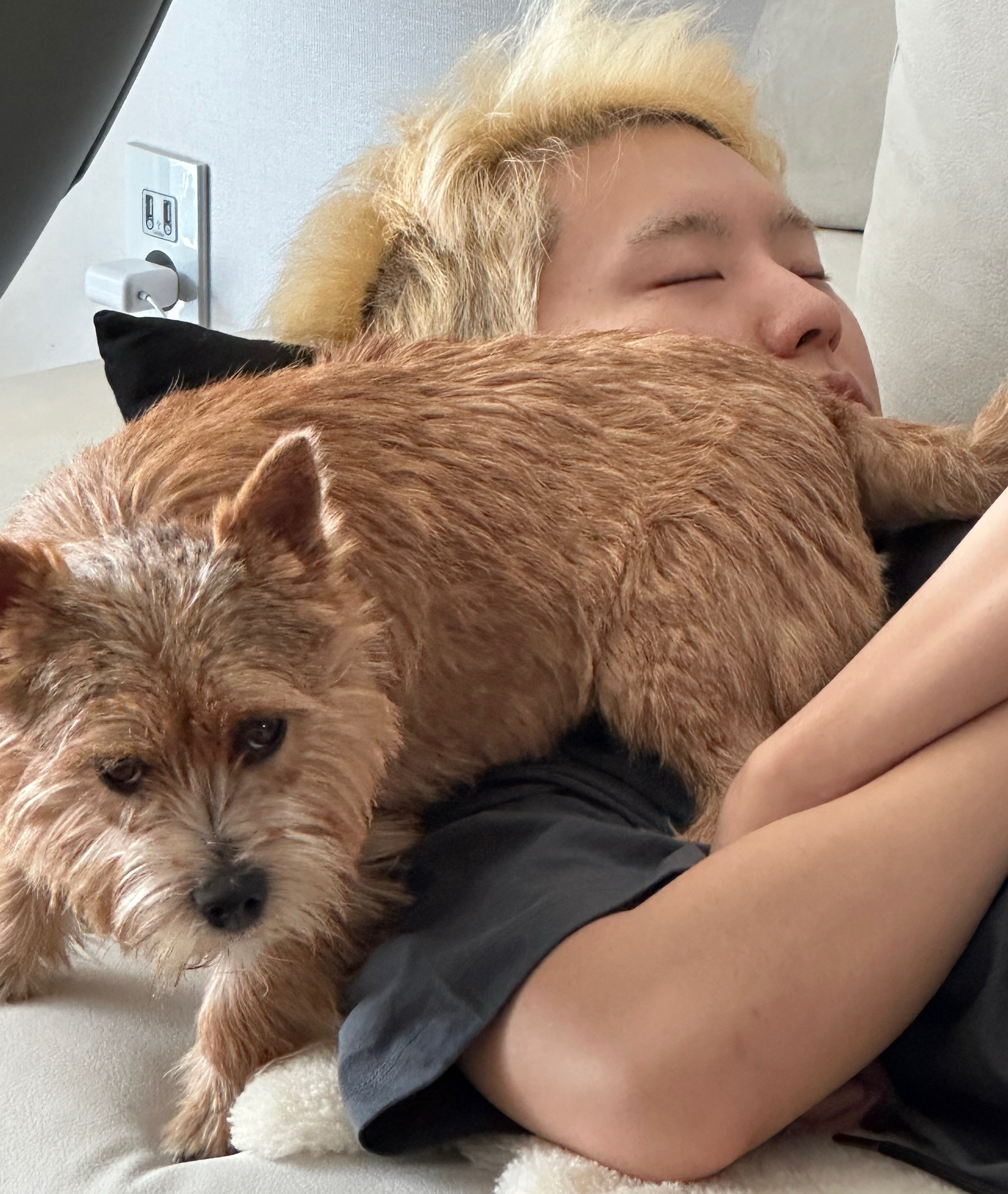 ホシ (SEVENTEEN)の最近の活動写真