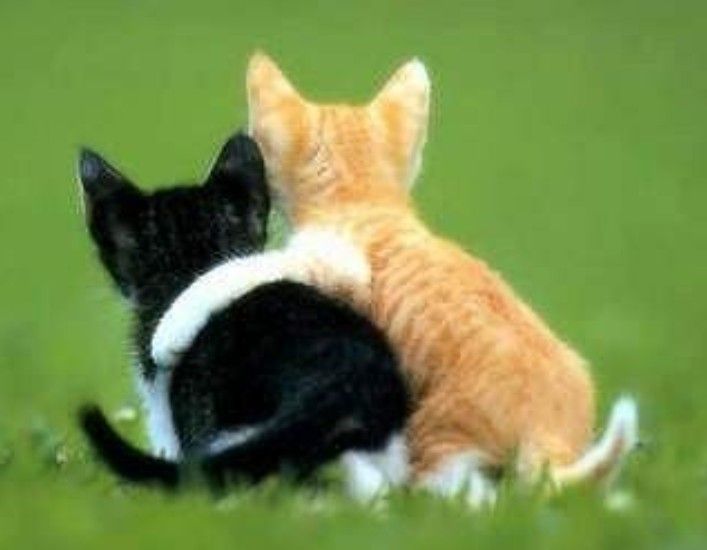 A moment captured by Moonbin (ASTRO)'s fan