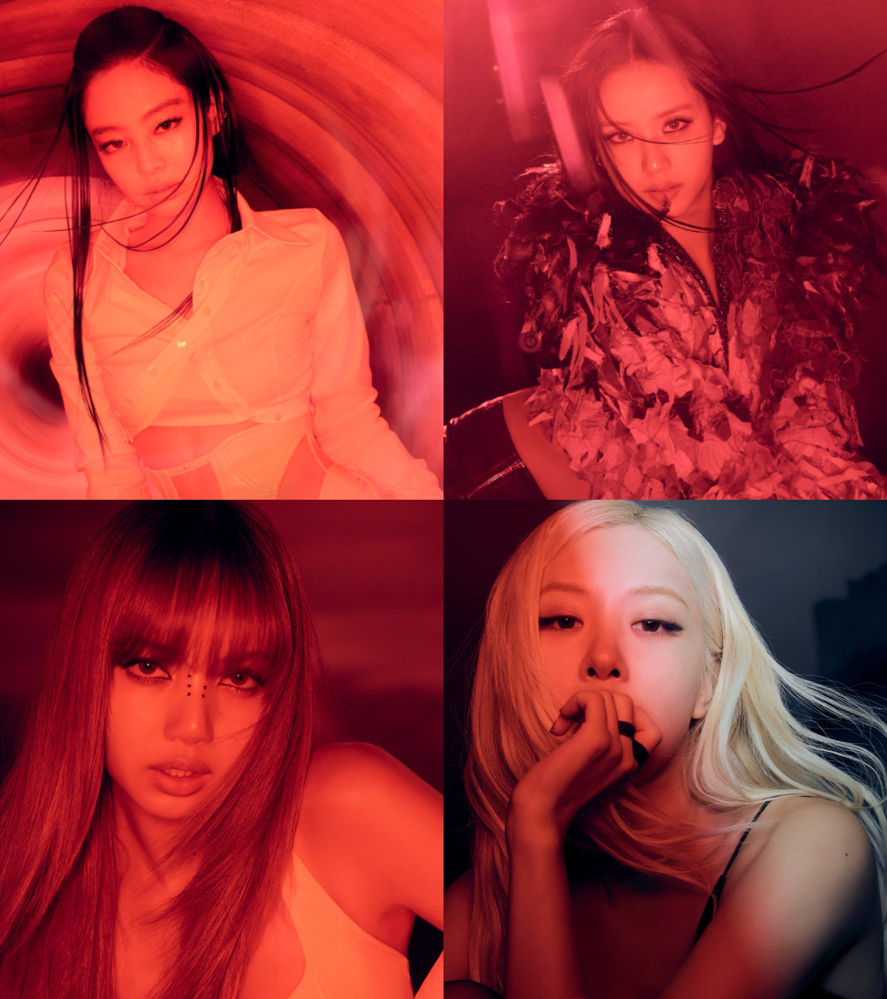 BLACKPINK 팬이 찍은 순간