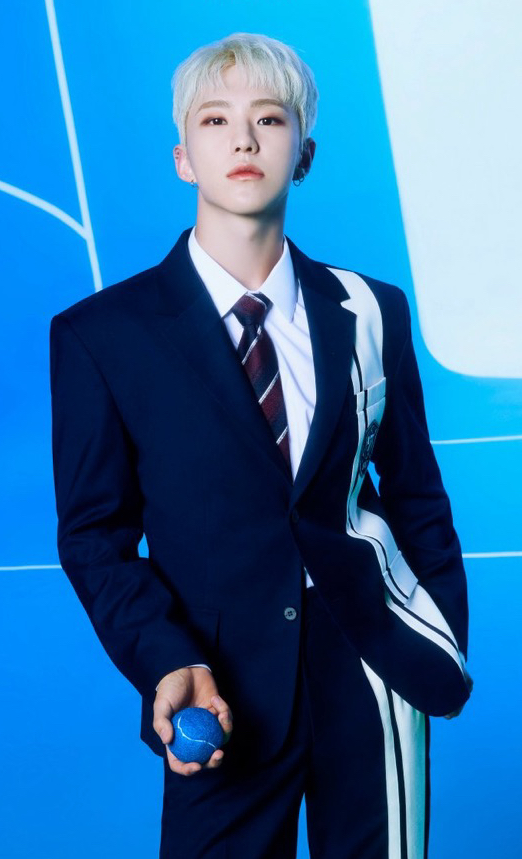 A moment captured by Hoshi (SEVENTEEN)'s fan
