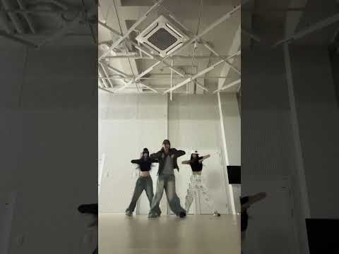 SECRET NUMBER 최근 활동샷